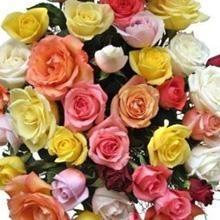 Assorted Colored Roses  - DIY flower Bunches - flowersbypouparina.com